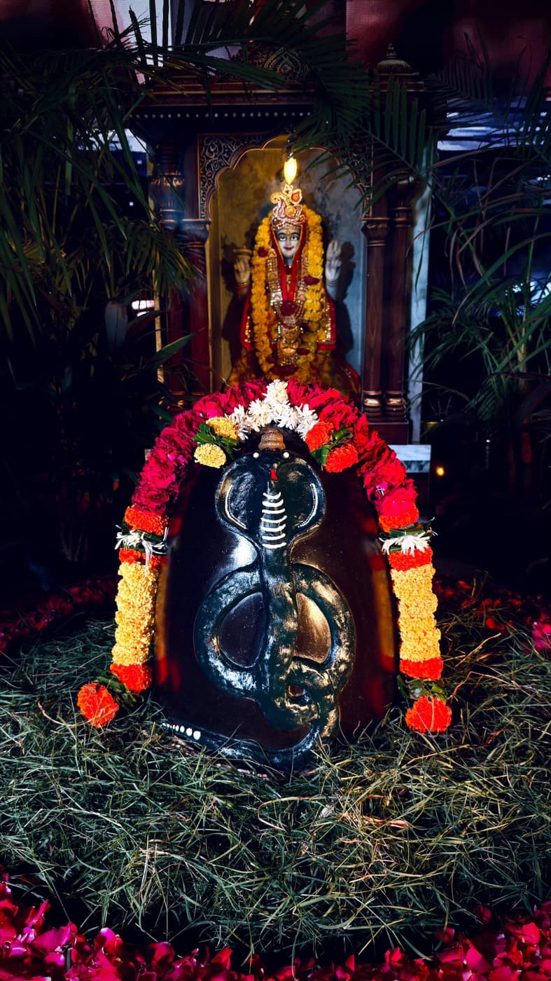 જગન્નાથજી સ્વરૂપે શિવલિંગનો શૃંગાર